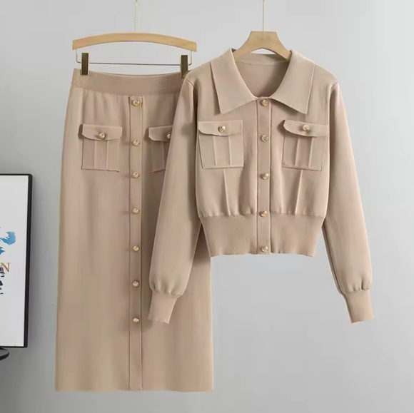 Tops - Elegant Tan Skirt Set